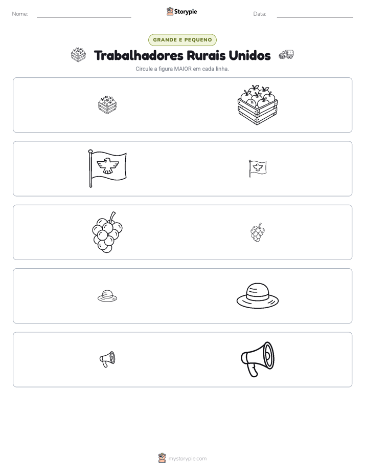 Classificação