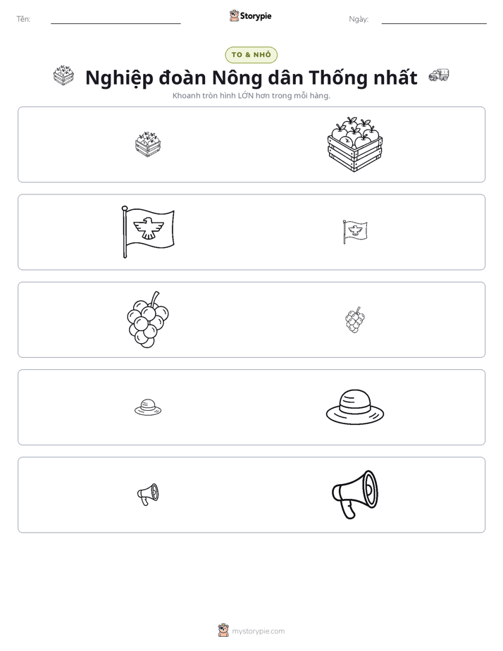 Phân Loại