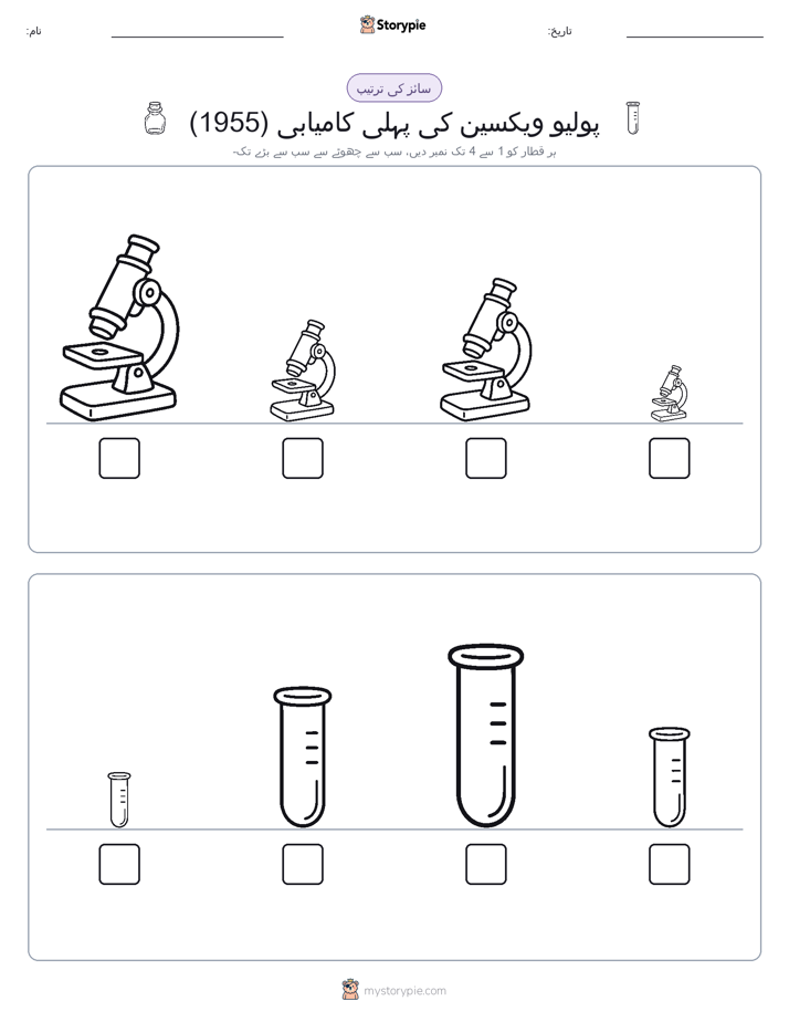 سائز کی ترتیب