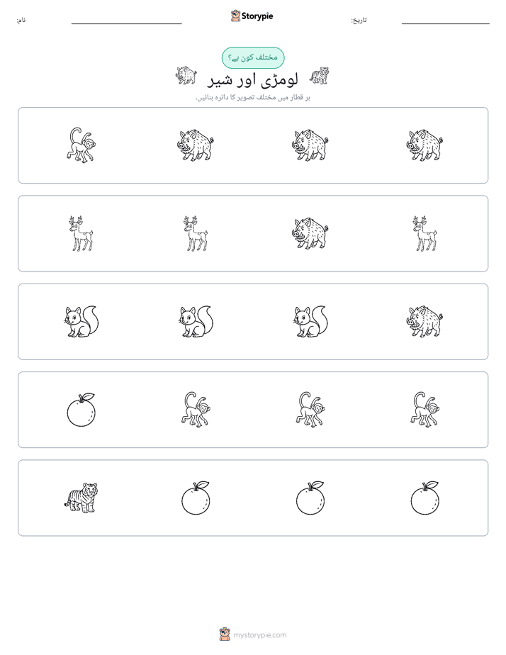 عجیب ایک