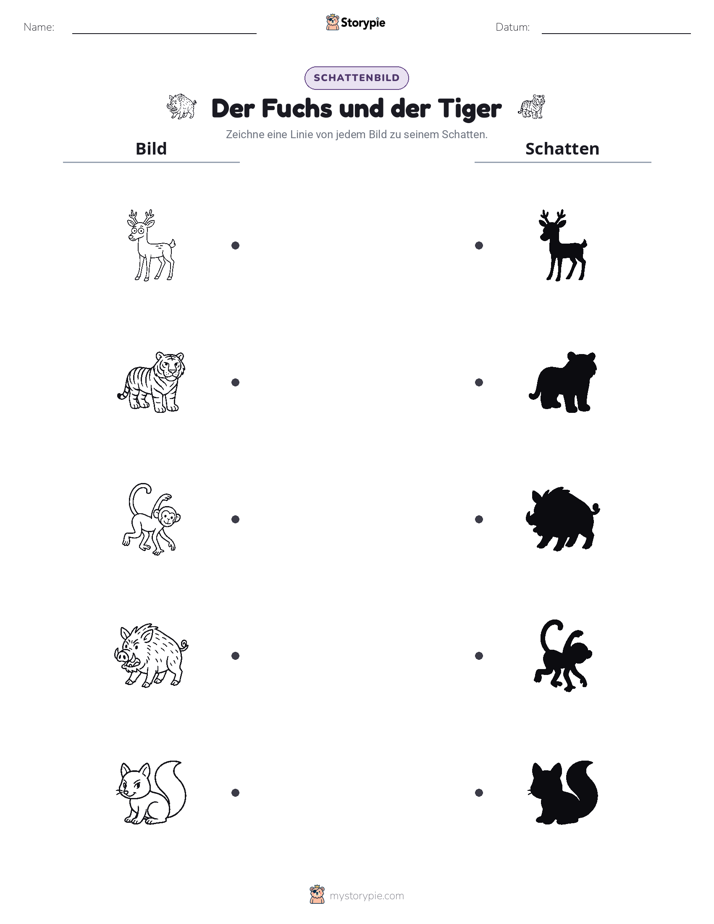 Schattenmatch
