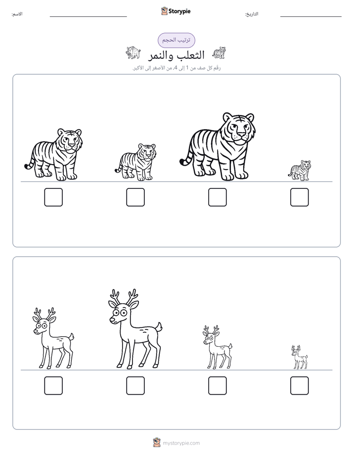 ترتيب الحجم