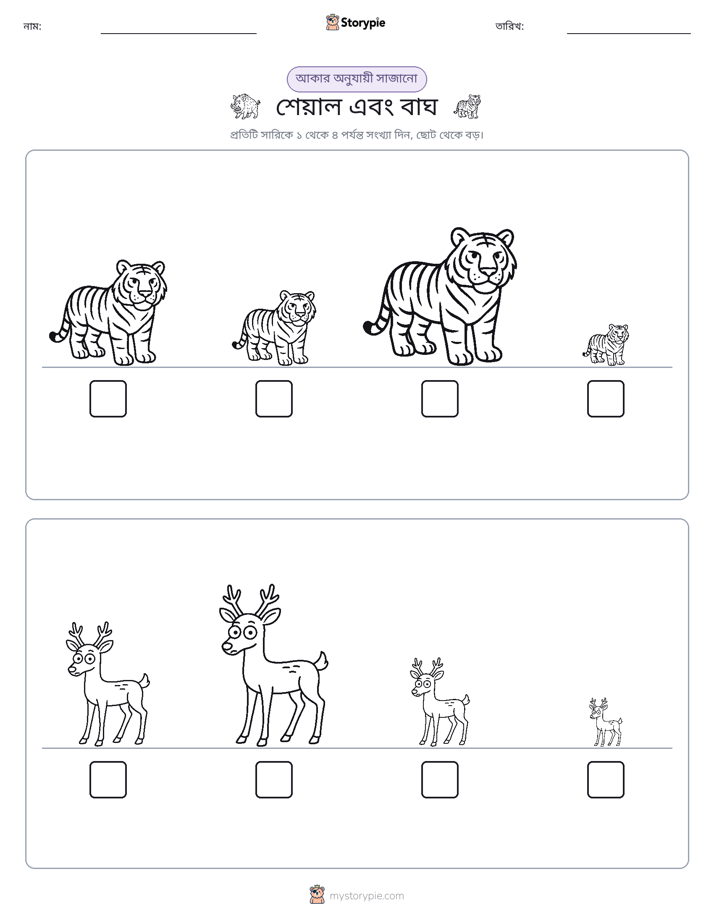 আকারের ক্রম