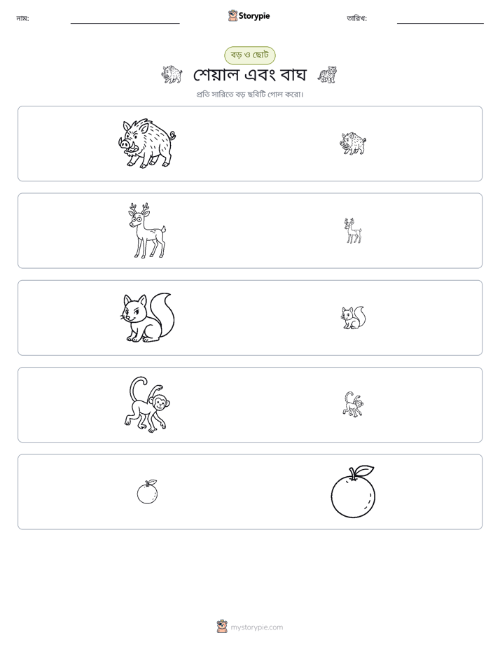 সাজানো