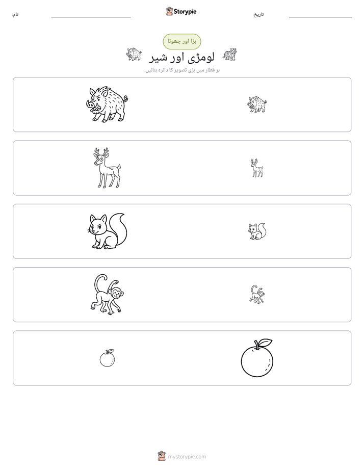 ترتیب دینا