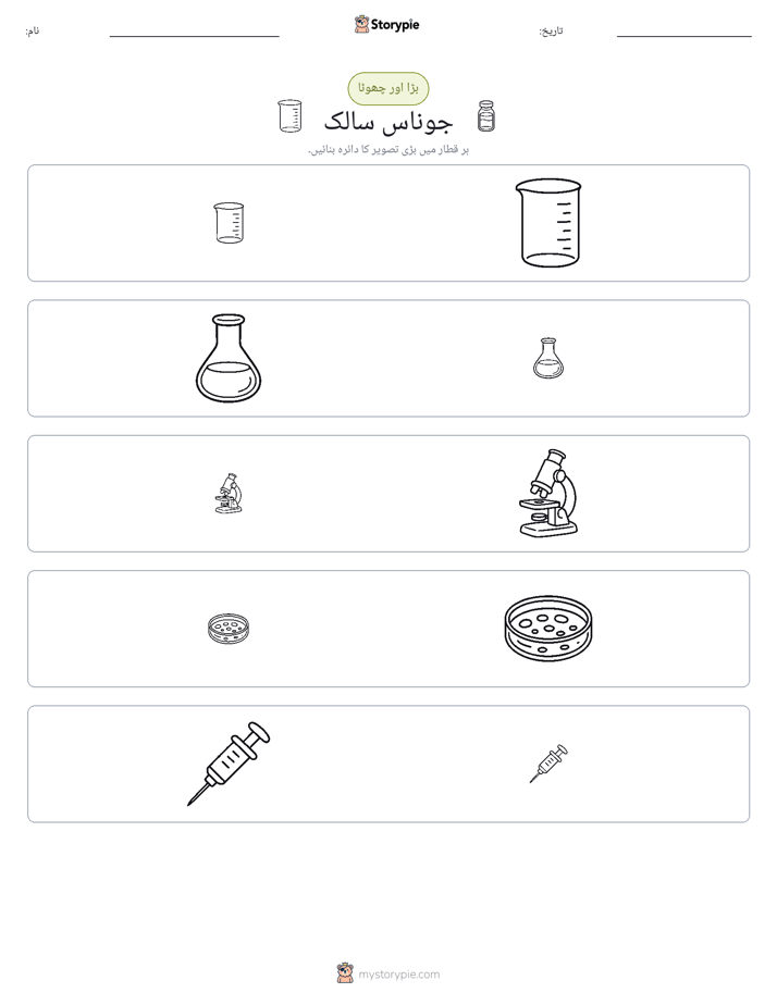 ترتیب دینا