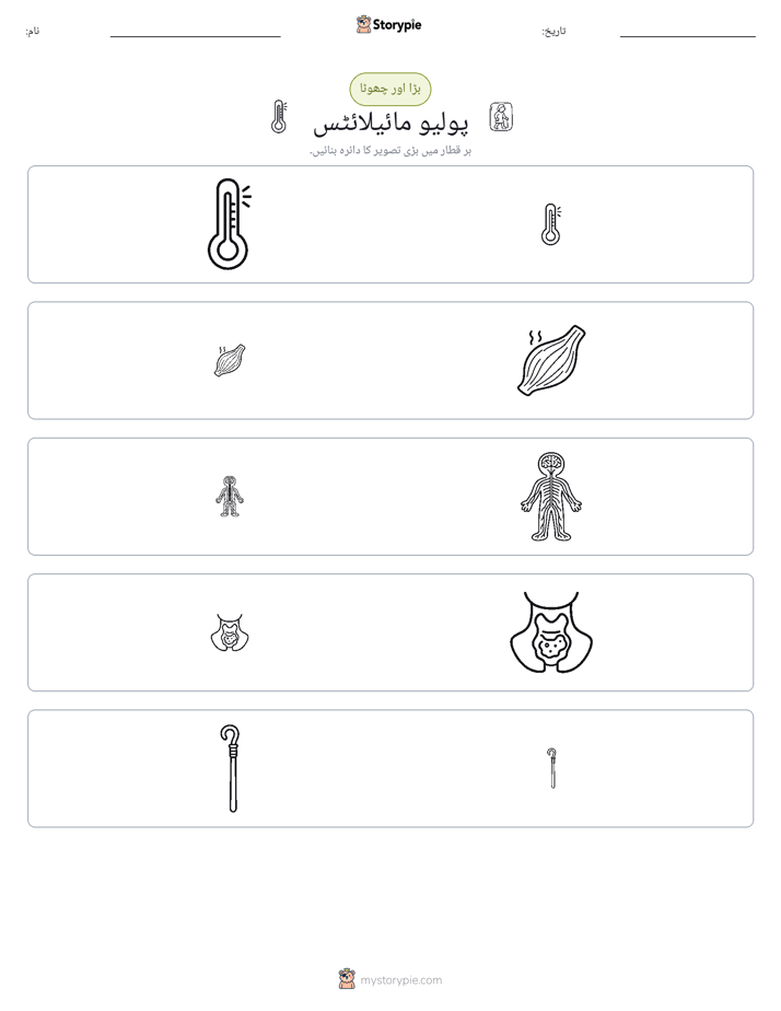 ترتیب دینا