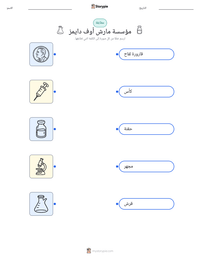 معاينة ورقة العمل القابلة للطباعة مؤسسة مارش أوف دايمز