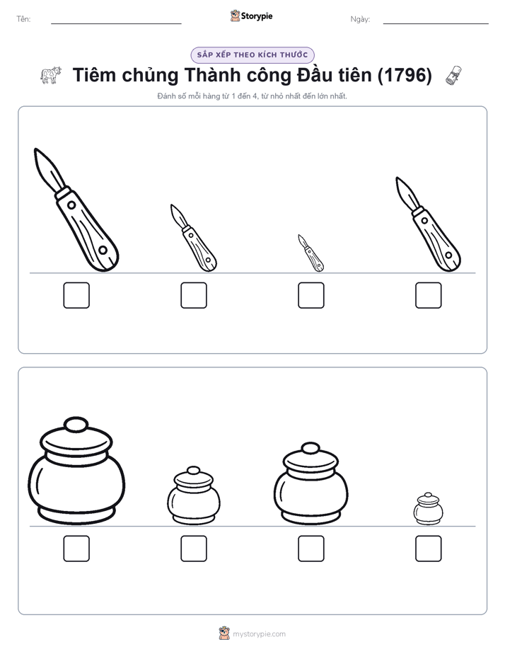 Thứ Tự Kích Thước