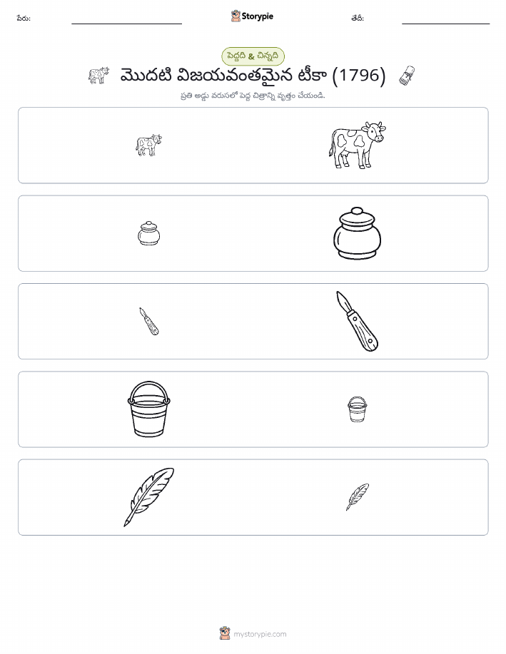 వర్గీకరణ