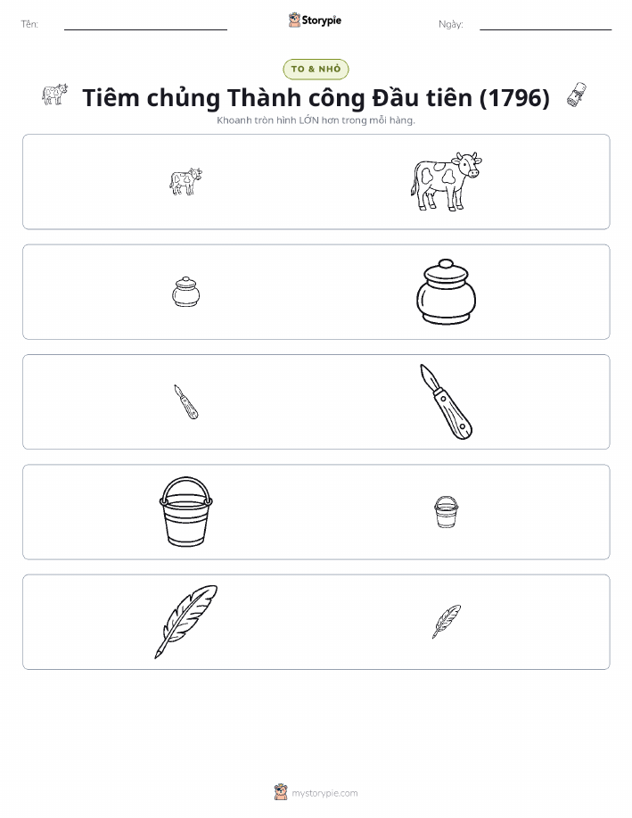 Phân Loại