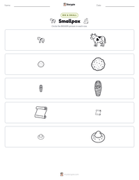 Smallpox printable worksheet preview