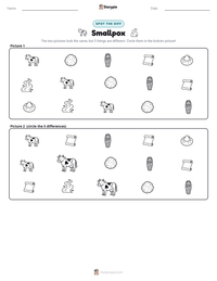 Smallpox printable worksheet preview