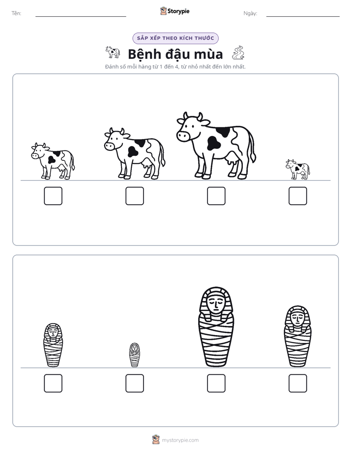 Thứ Tự Kích Thước