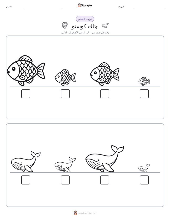 ترتيب الحجم