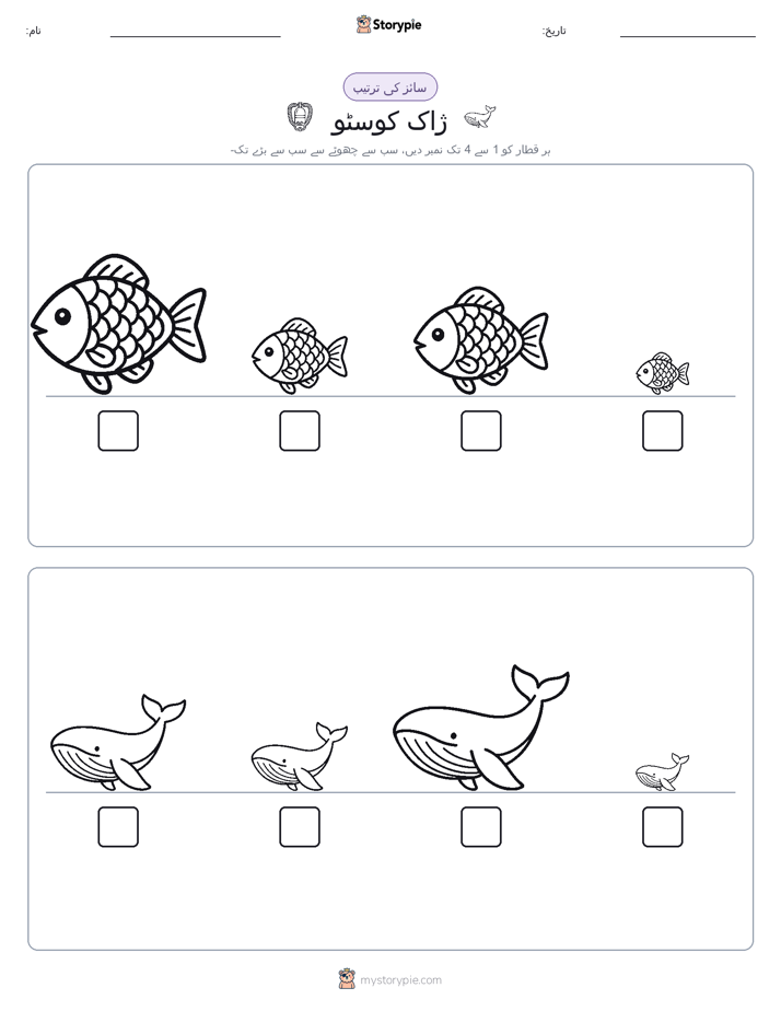 سائز کی ترتیب
