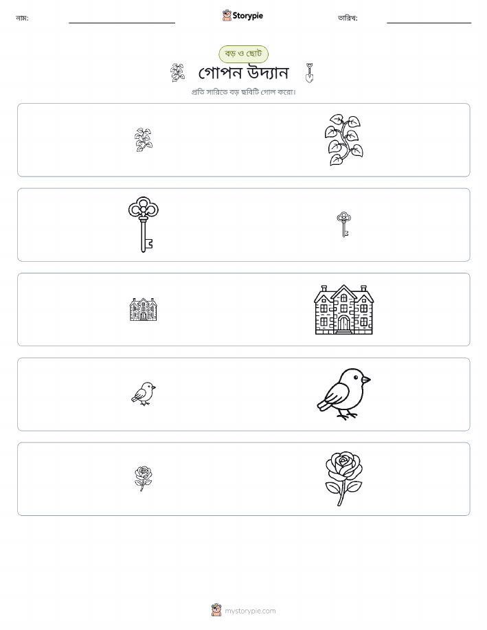 সাজানো