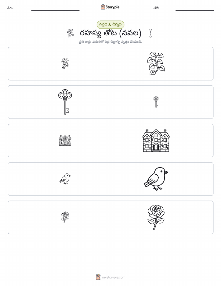 వర్గీకరణ