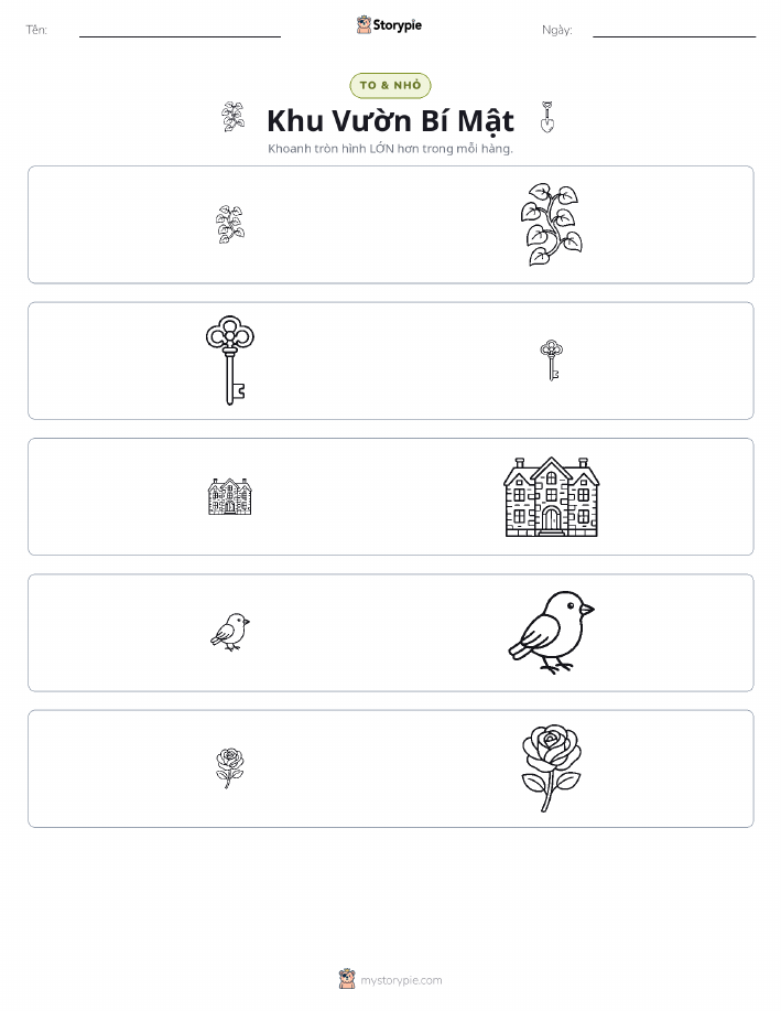 Phân Loại