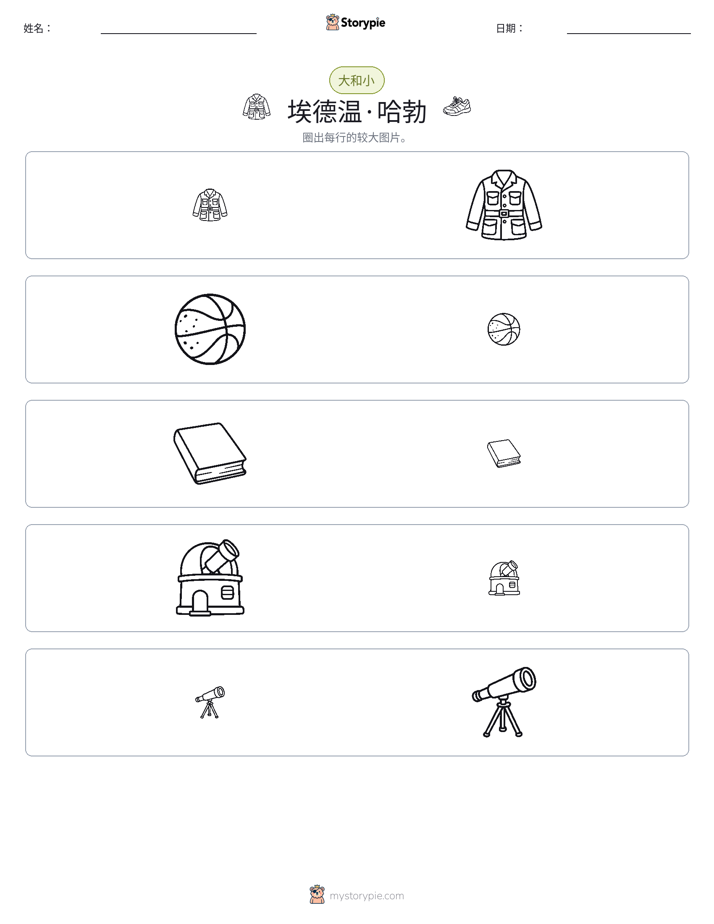 分类