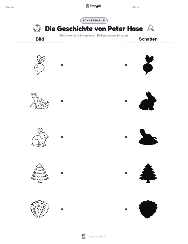 Schattenmatch