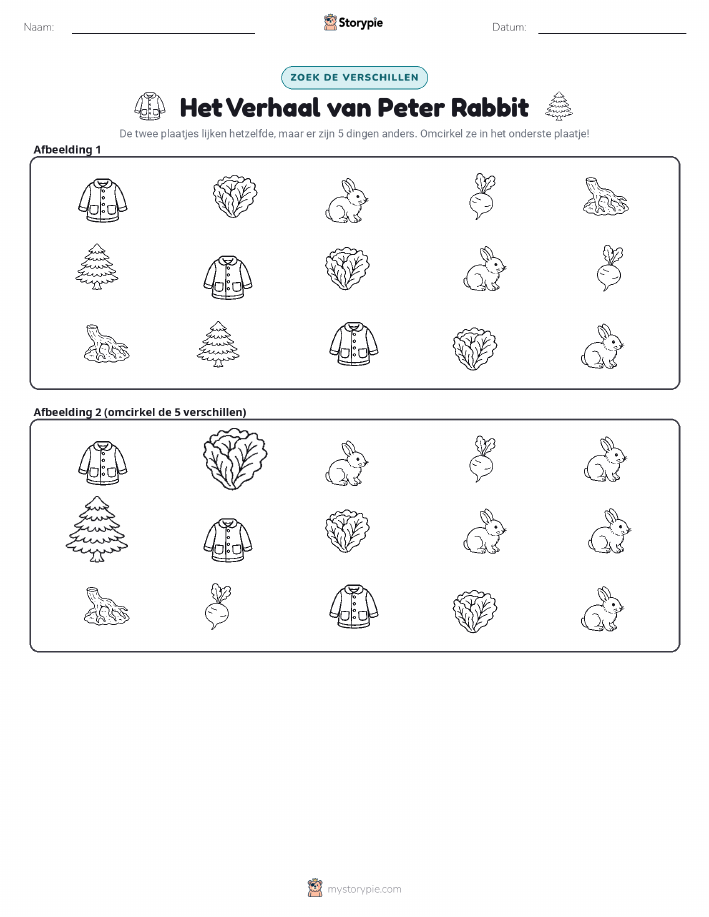 Vind het Verschil
