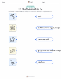 மேரி அன்னிங் குழந்தைகளுக்கான அச்சிடக்கூடிய வேலைப்பதிவு