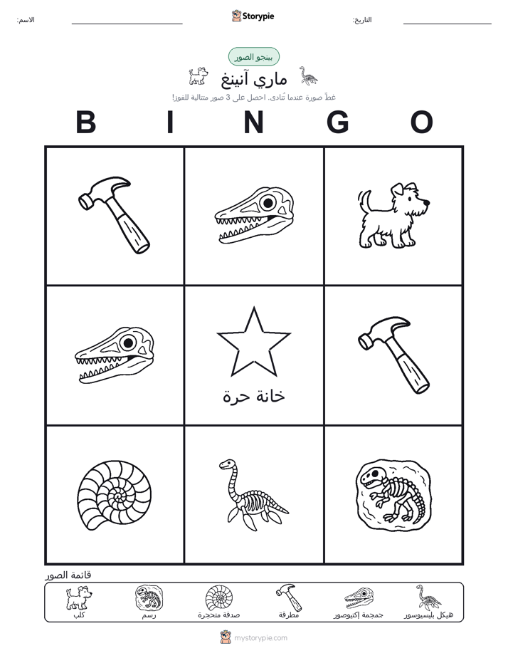 بينغو الصور