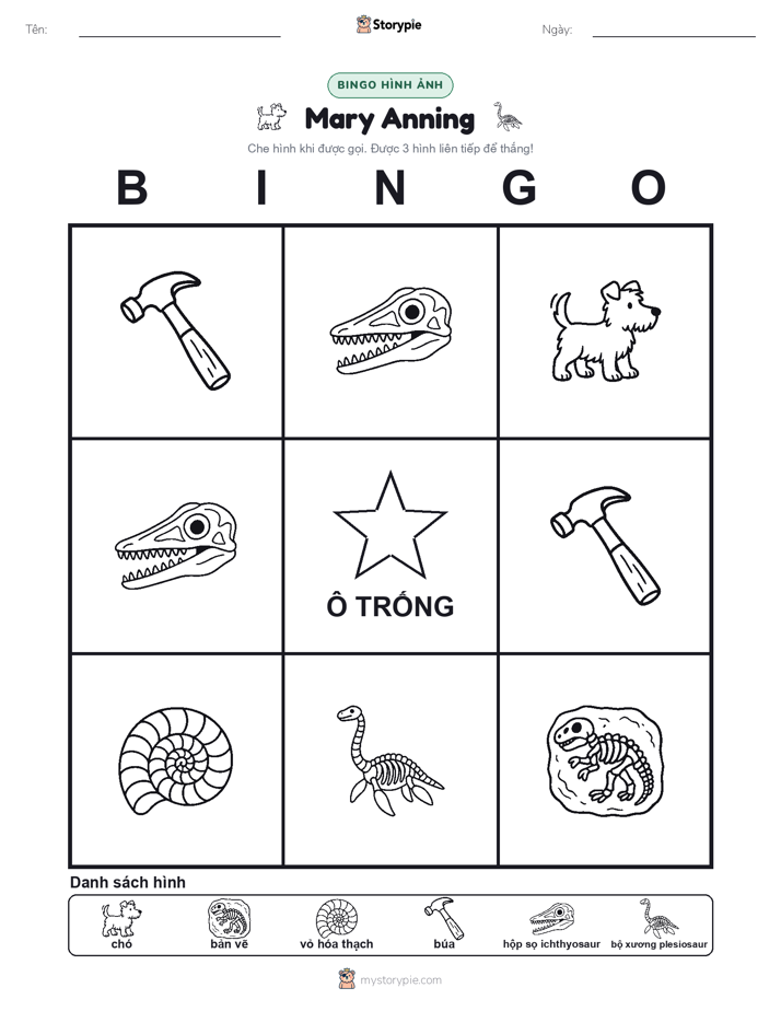 Bingo Hình Ảnh