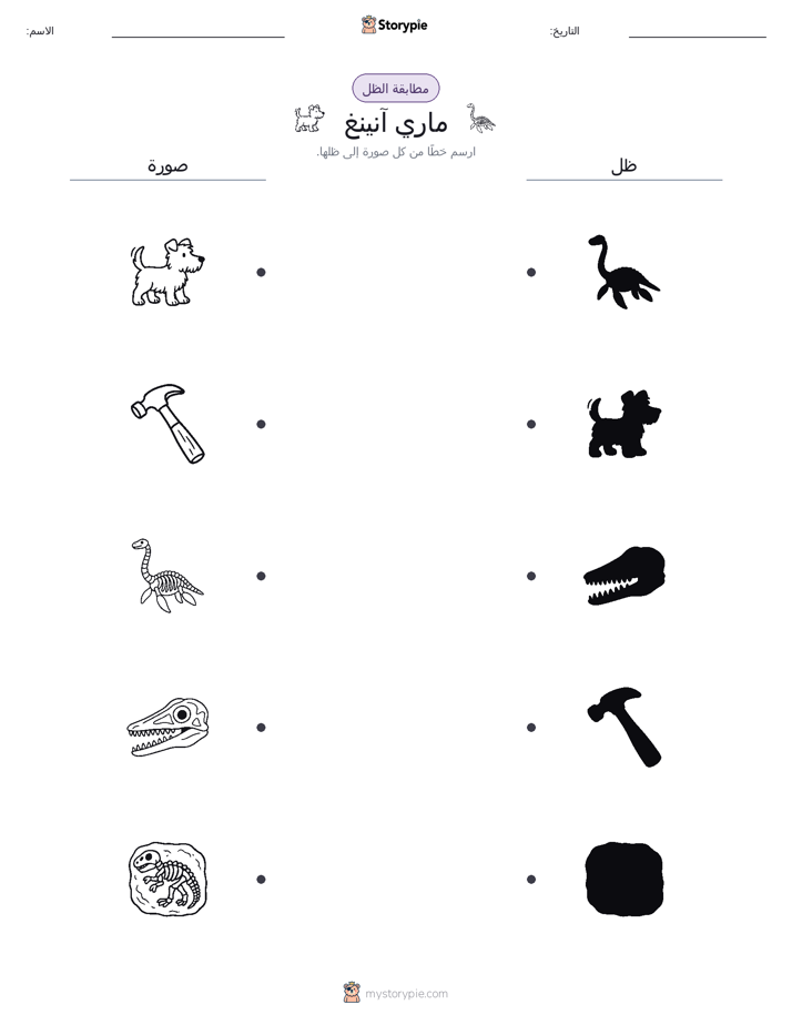 مطابقة الظل
