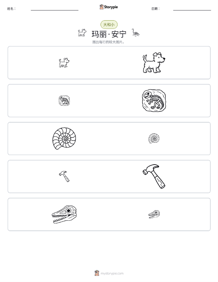 分类