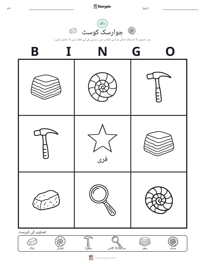 تصویری بنگو