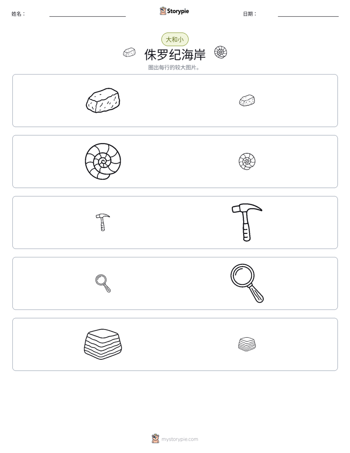 分类