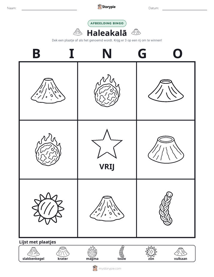 Afbeelding Bingo