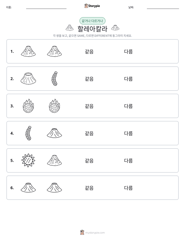 같은 것 또는 다른 것