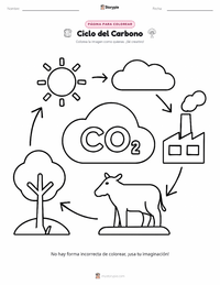 Vista previa de la hoja de trabajo imprimible de Ciclo del Carbono