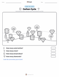 Carbon Cycle printable worksheet preview