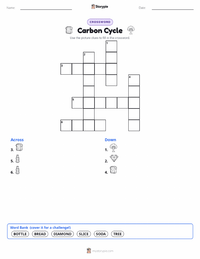 Carbon Cycle printable worksheet preview