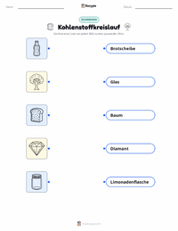Kohlenstoffkreislauf druckbare Arbeitsblatt Vorschau
