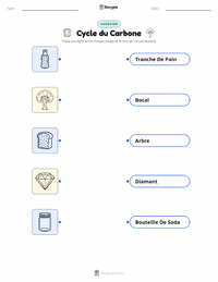 Feuille de travail imprimable Cycle du carbone pour les enfants
