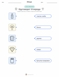 Углеродный цикл предварительный просмотр распечатываемого рабочего листа