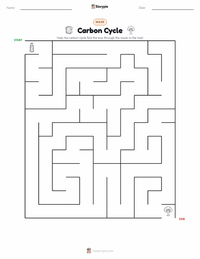 Carbon Cycle printable worksheet preview