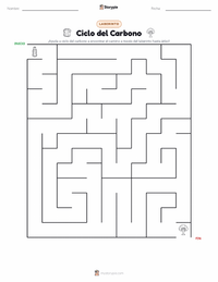 Vista previa de la hoja de trabajo imprimible de Ciclo del Carbono
