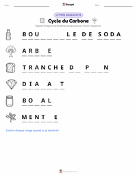 Aperçu de la feuille de travail imprimable Cycle du carbone