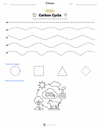 Carbon Cycle printable worksheet preview