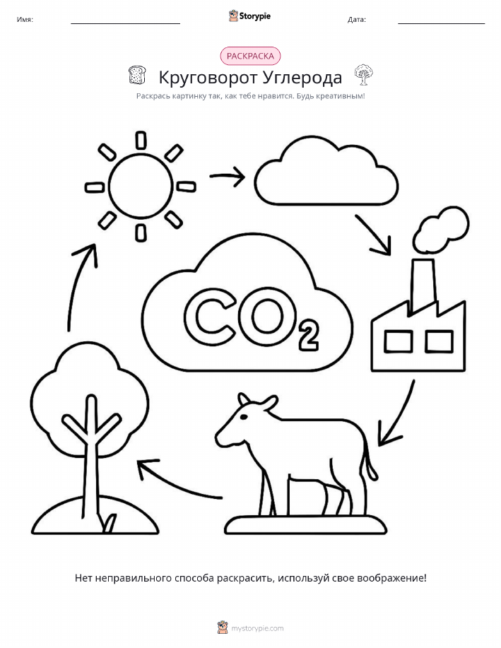 Раскраска