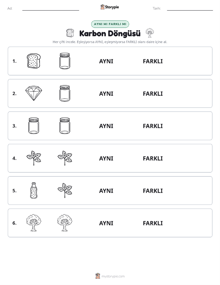 Aynı mı Farklı mı
