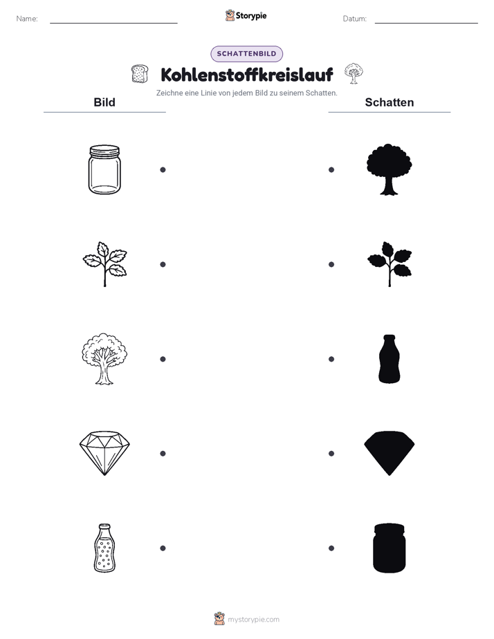 Schattenmatch