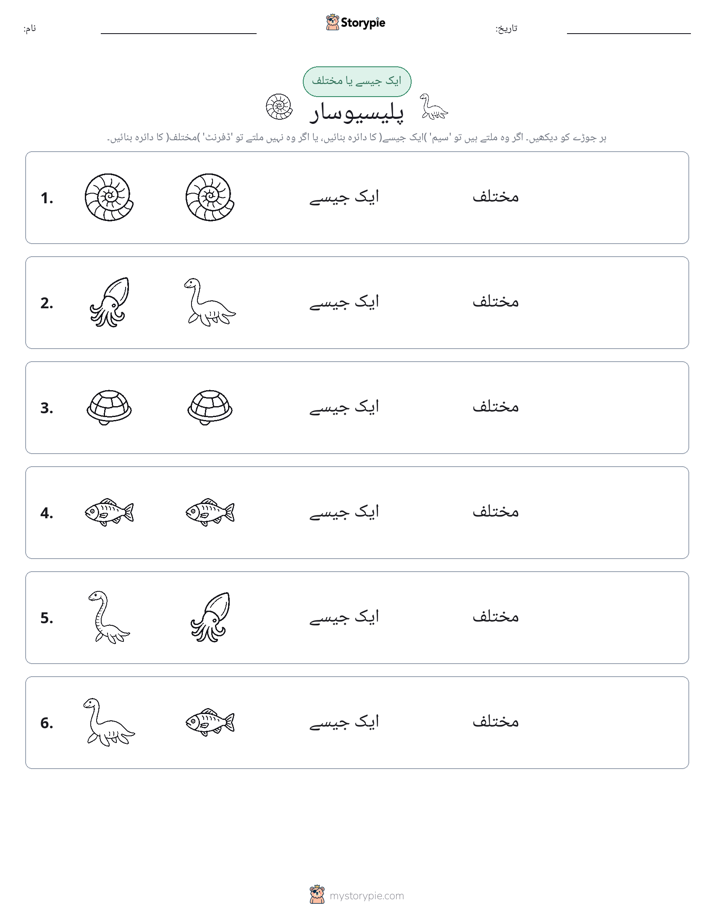 ایک جیسا یا مختلف