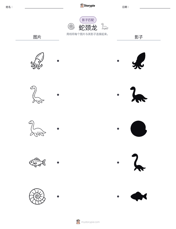影子匹配
